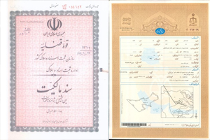 سند تک برگی 